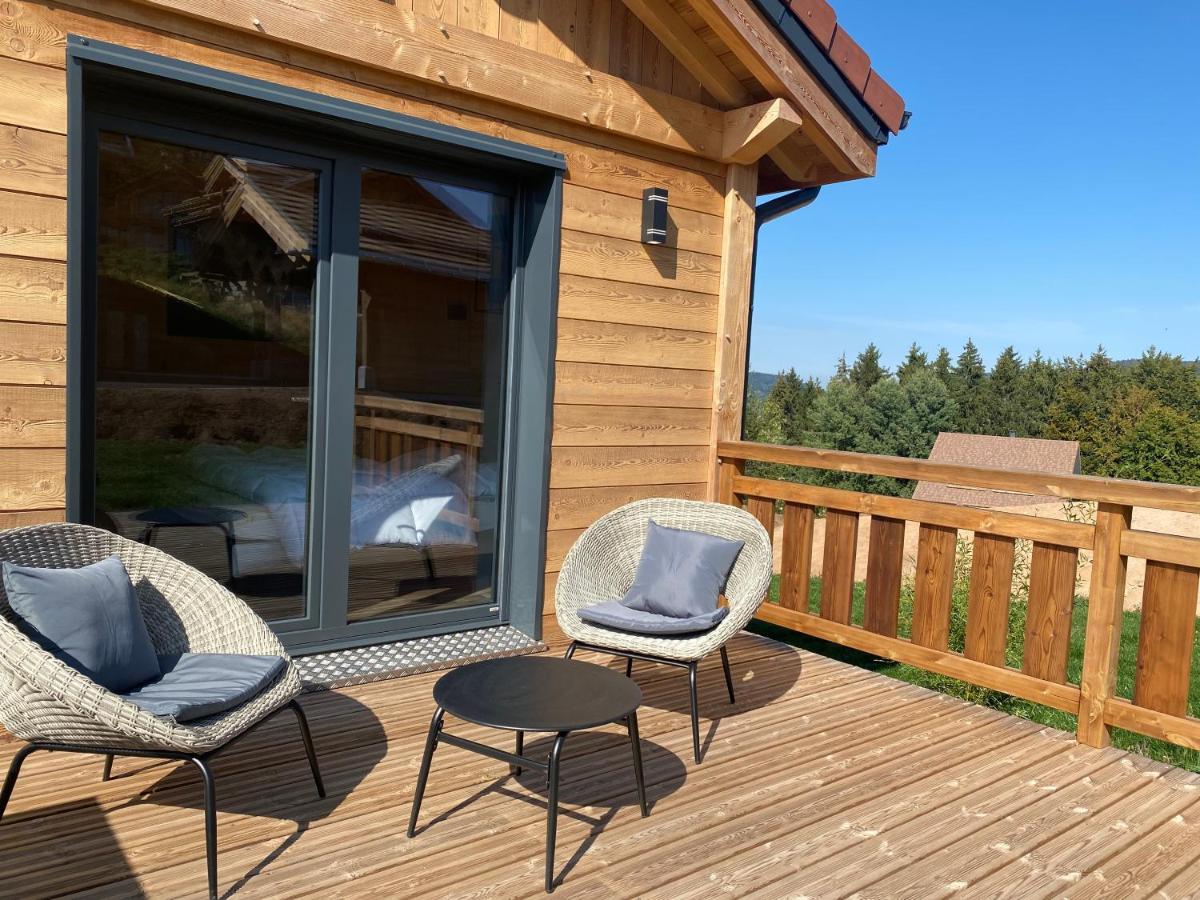 L'Adret Du Temps Chalet 10 Personnes 170M2 Gérardmer Buitenkant foto